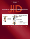 JOURNAL OF INVESTIGATIVE DERMATOLOGY雜志封面